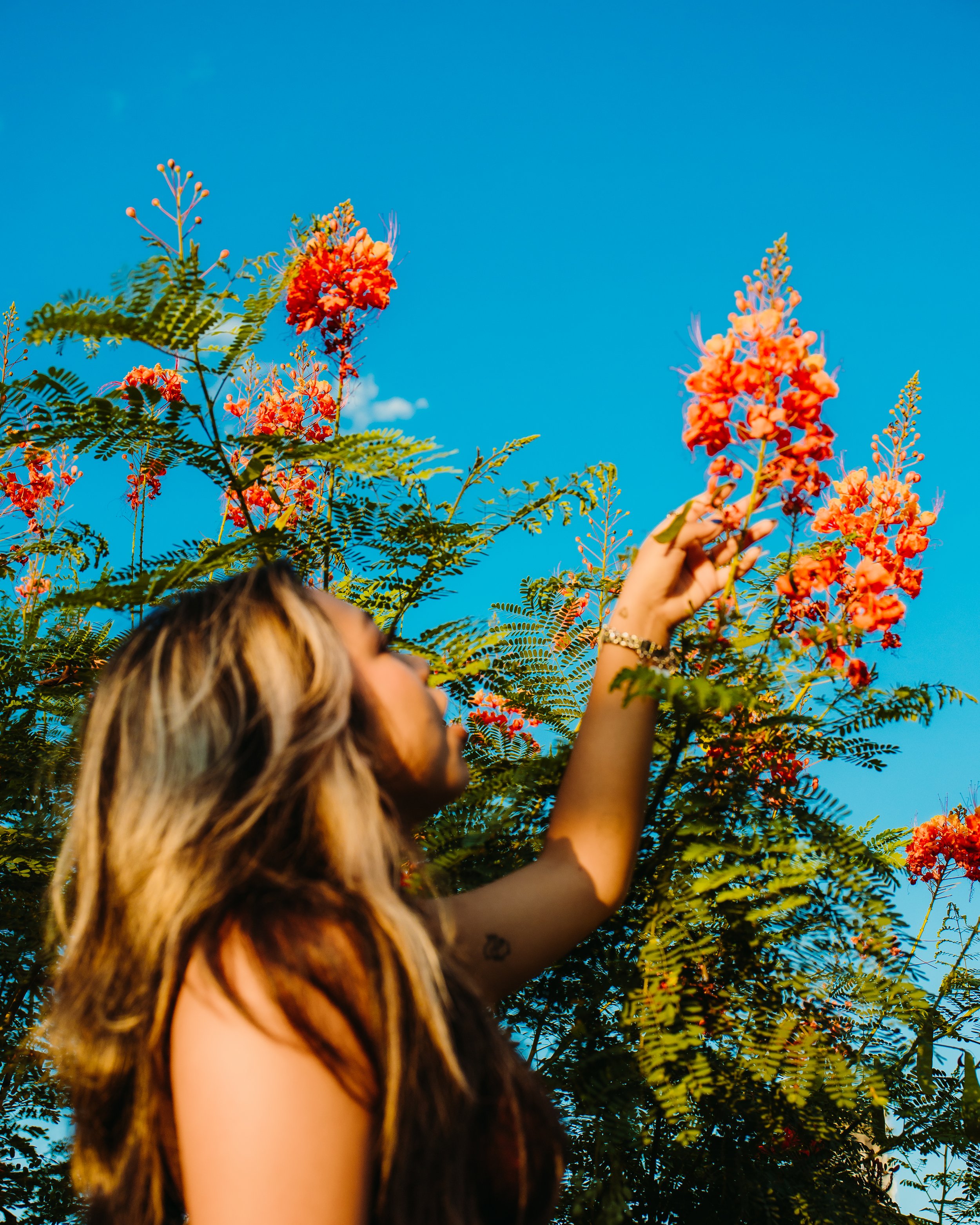 A woman with wavy hair reaching out to touch orange flowers on a green leafy bush against a clear blue sky.
