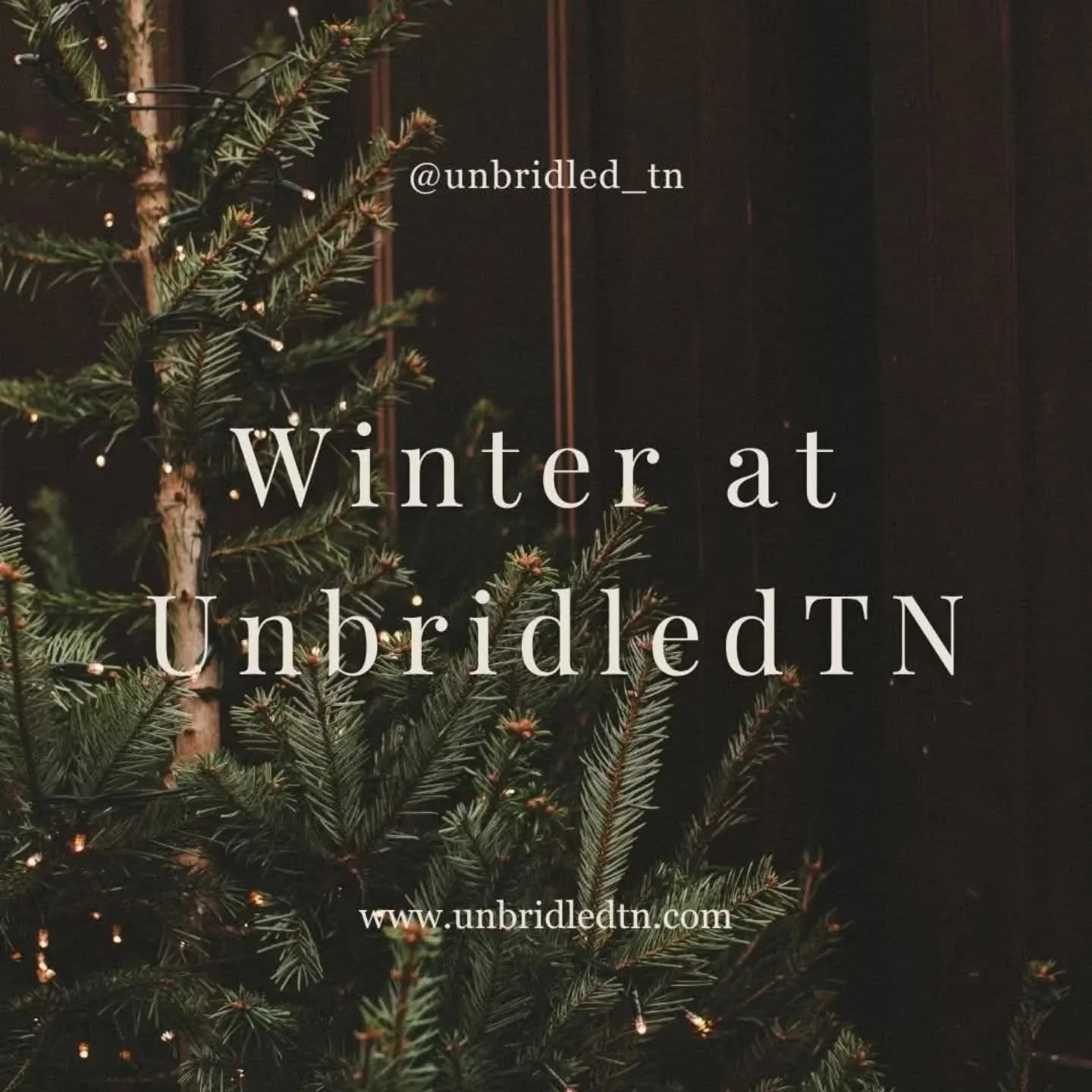✨ Winter at UnbridledTN ✨

Winter is a time to slow down and be deeply intentional with the needs of our herd, home, and community. As we move into this next season, we wanted to give you a little window into what&rsquo;s happening here on the farm &