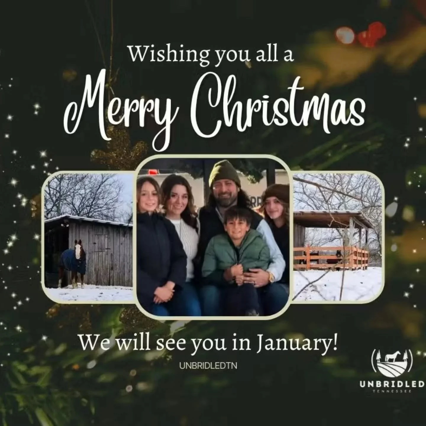 Welcome to UnbridledTN! Before I check out of here for December, I wanted to reintroduce myself and what is to come as we embark on this next journey in 2026! 

I am Kelci Cline, a believer, a wife, a homeschool mother, and a lifelong horsewoman. In 