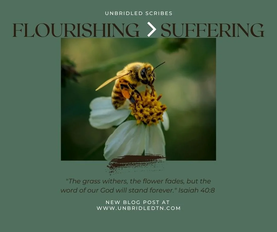 Flourishing > Suffering