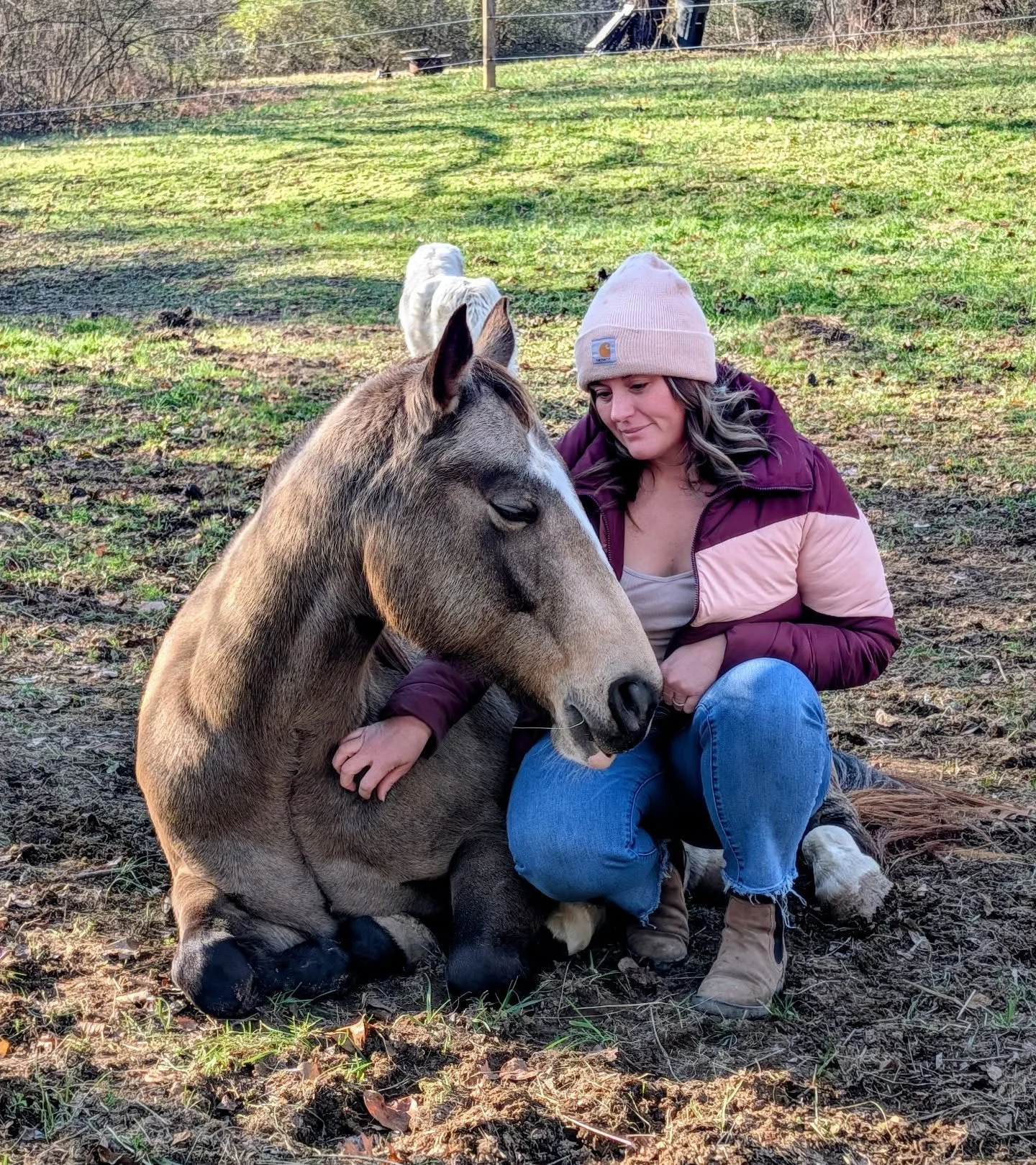 Happy Sunday ☀️
#RelationshipBasedHorsemanship #HorsemanshipJourney #NaturalHorsemanship #HeartCenteredHorsemanship #ConnectionOverControl