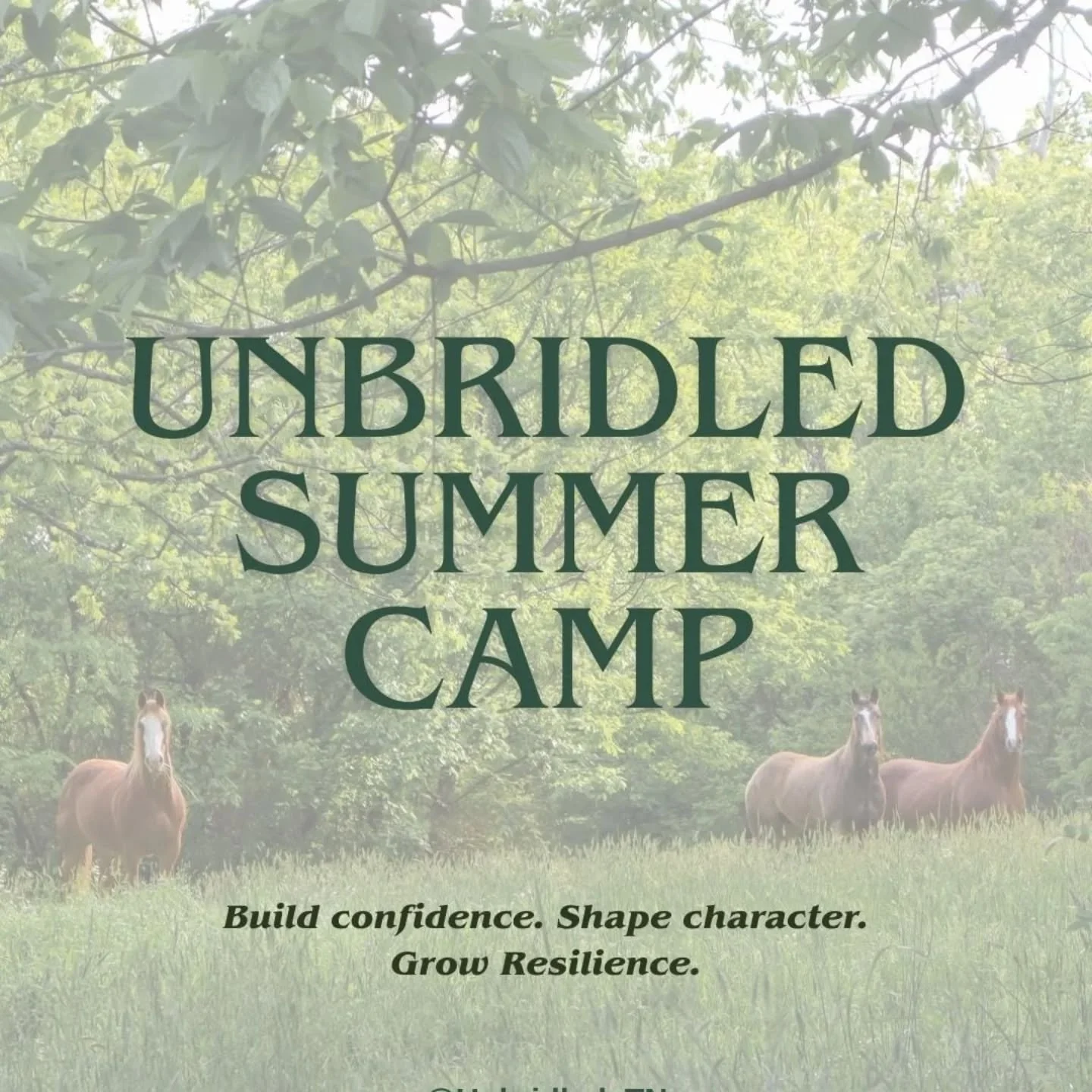 ⭐️ Summer Camp Registration is now OPEN ⭐️
At Unbridled TN, kids build confidence, shape character, and grow resilience through horses, archery, and art in a safe, faith-centered environment.

This is where nervous systems calm, confidence rises, and