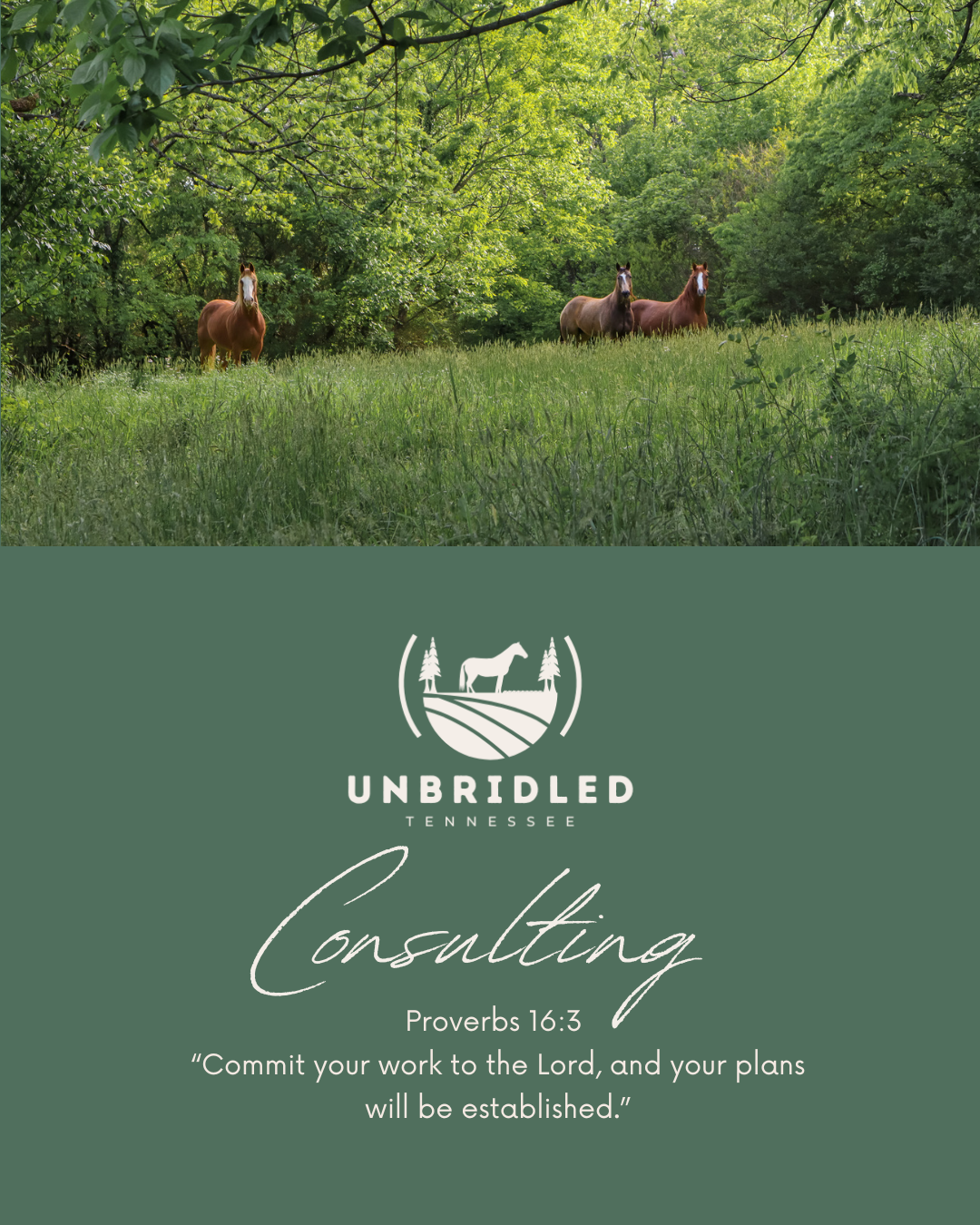 UnbridledTN Brochure (Instagram Post (45)).png