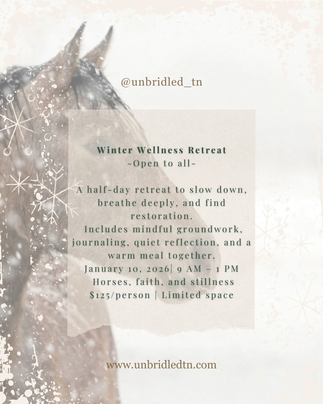 Winter Wellness Retreat