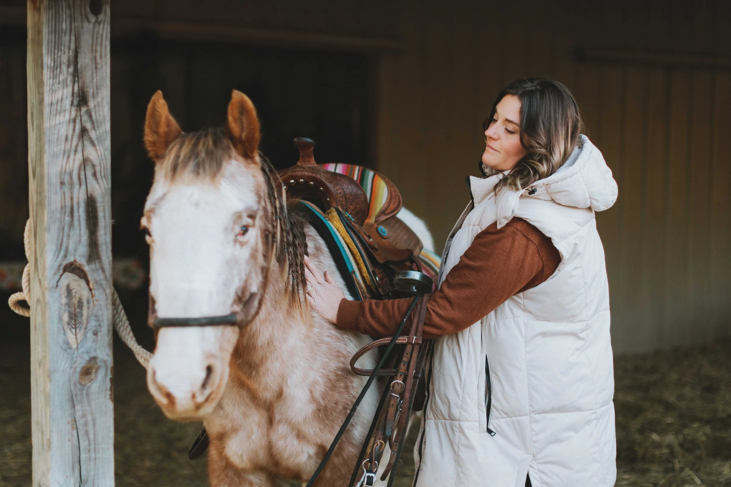 Adult Intro to Horsemanship Session