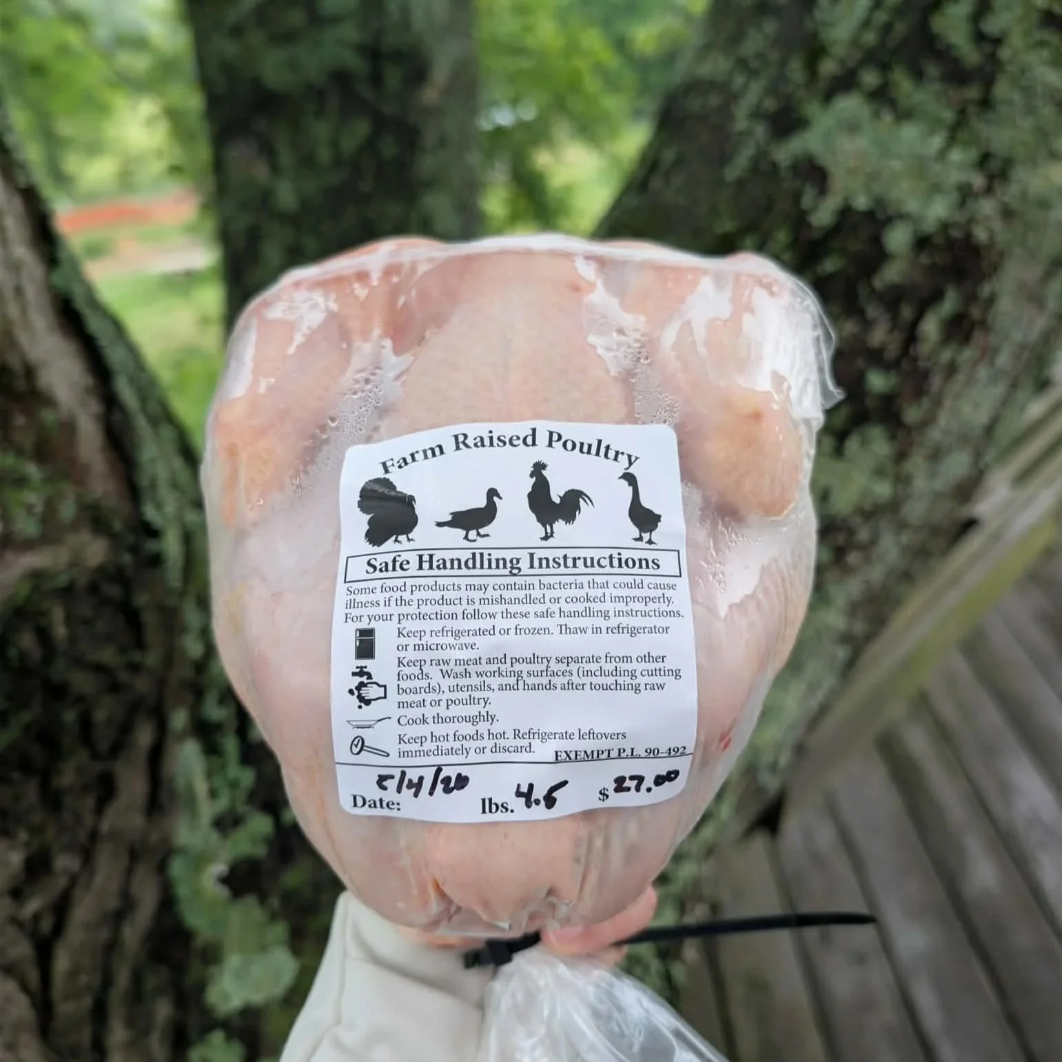 Pasture-Raised Chicken ($12 Deposit-Final price and payment due on pick-up)