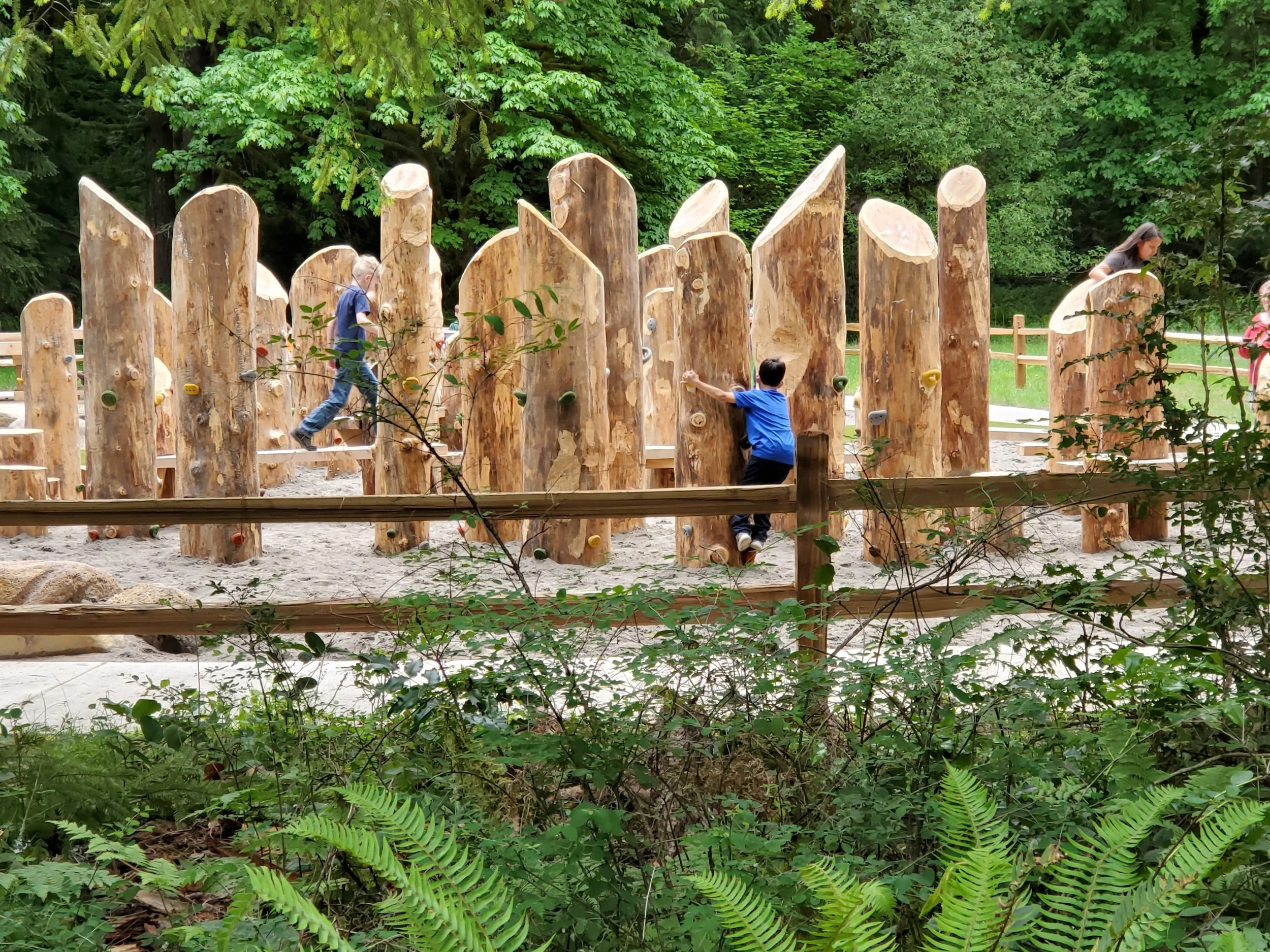 Learning Landscaps Design log climber oxbow 2.jpg