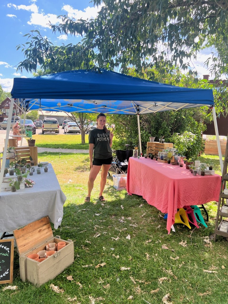 Mobile Swanky Plant Bar