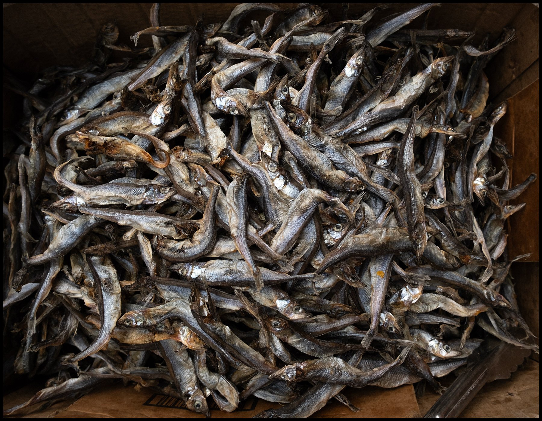 NYC-dried-fish-crop_DSF8514.jpg