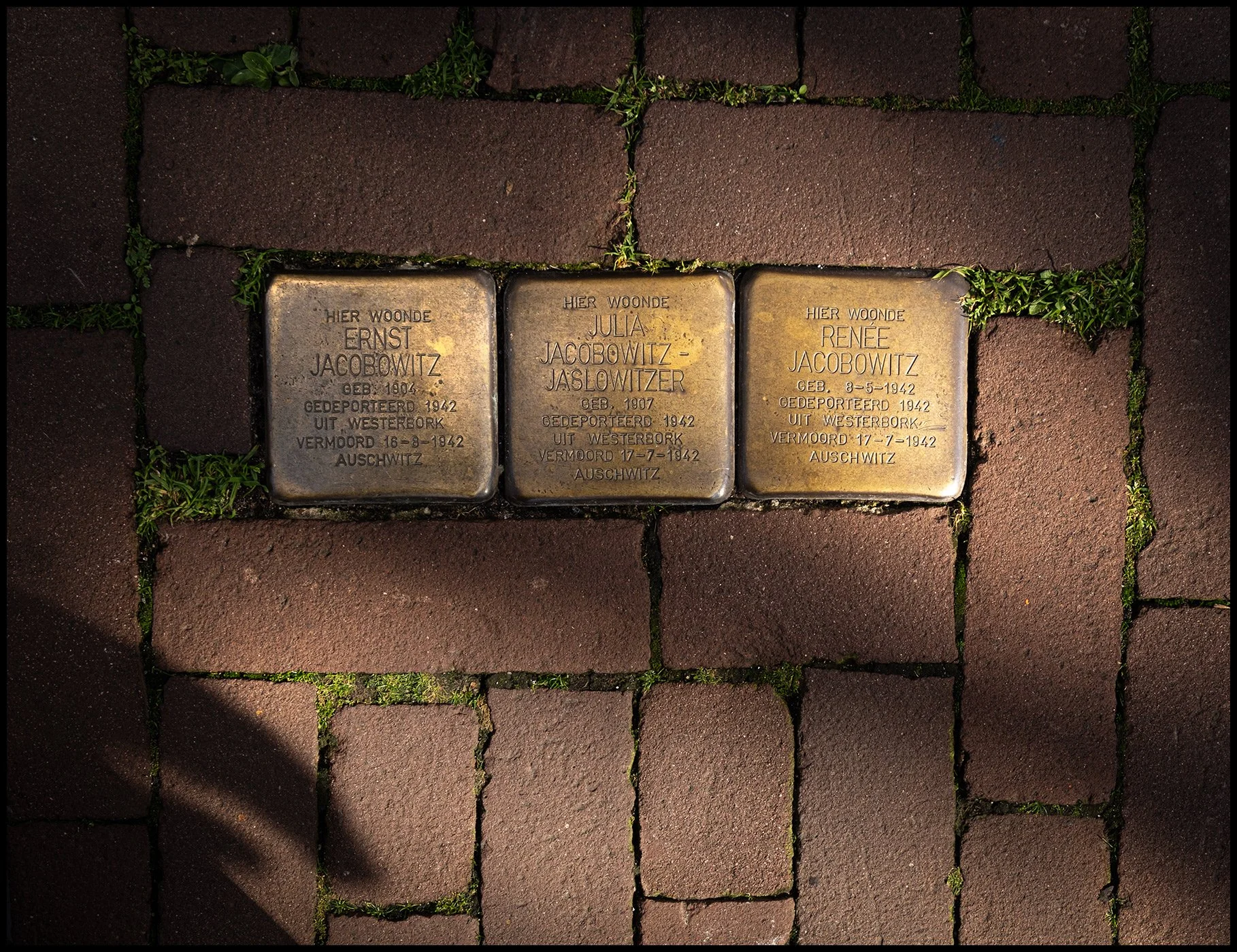 europe-amsterdam-wwll-sidewalk-plaques-crop_DSF9727.jpg