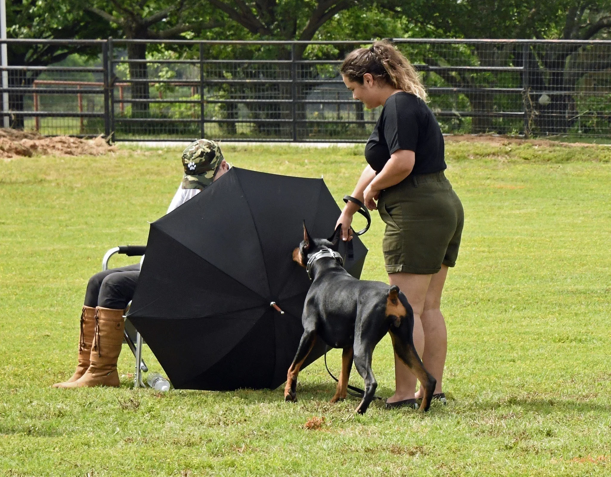 A woman with a black Doberman dog on a leash stands on grass talking to a seated person holding an umbrella.