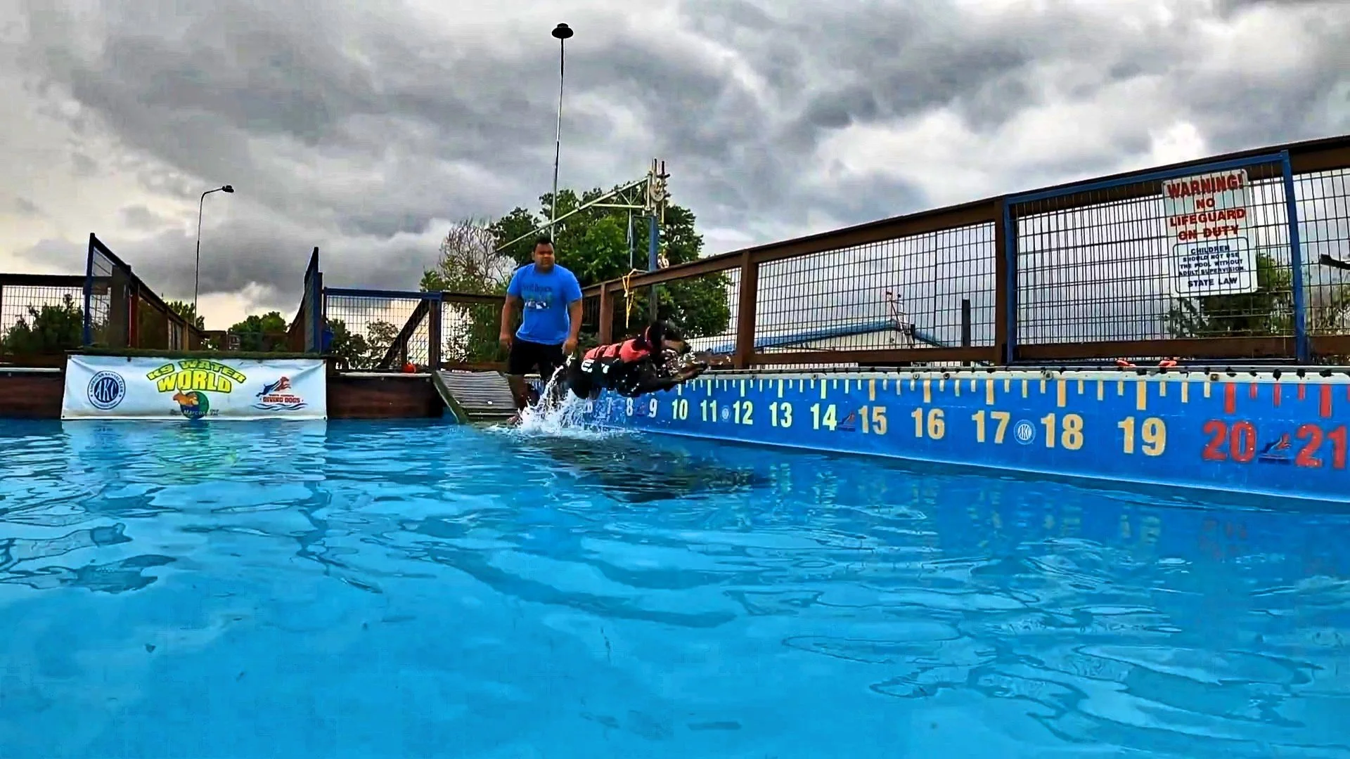 Dog jumping into water in a dock diving event with handler on the platform behind.