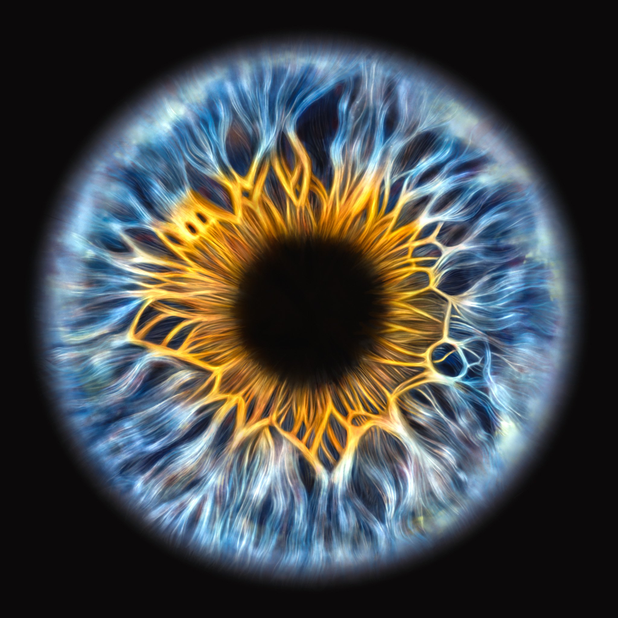 Softened to See 12"x12" Signed Framed Fine Art Print