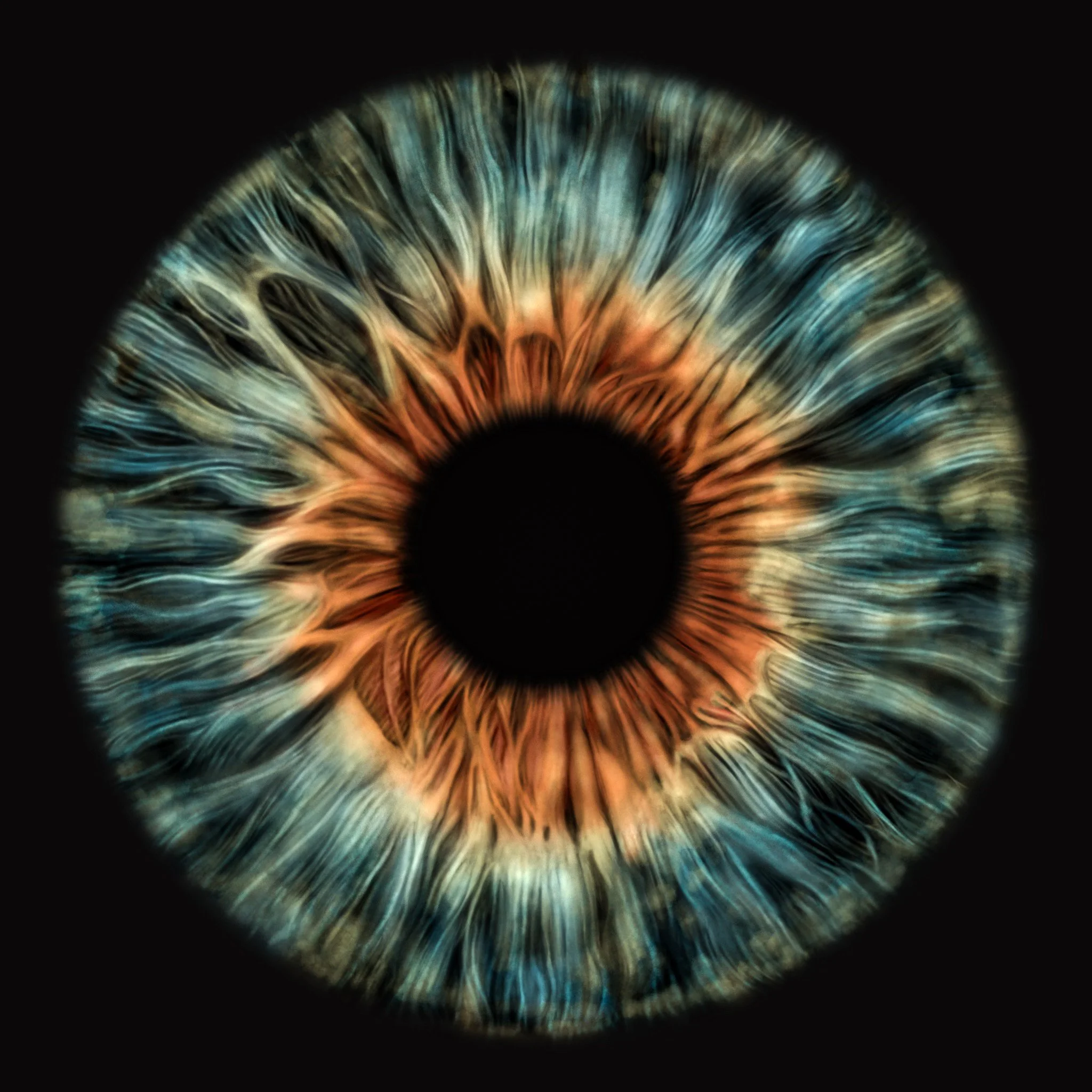 Light Unearthed 12"x12" Signed Framed Fine Art Print