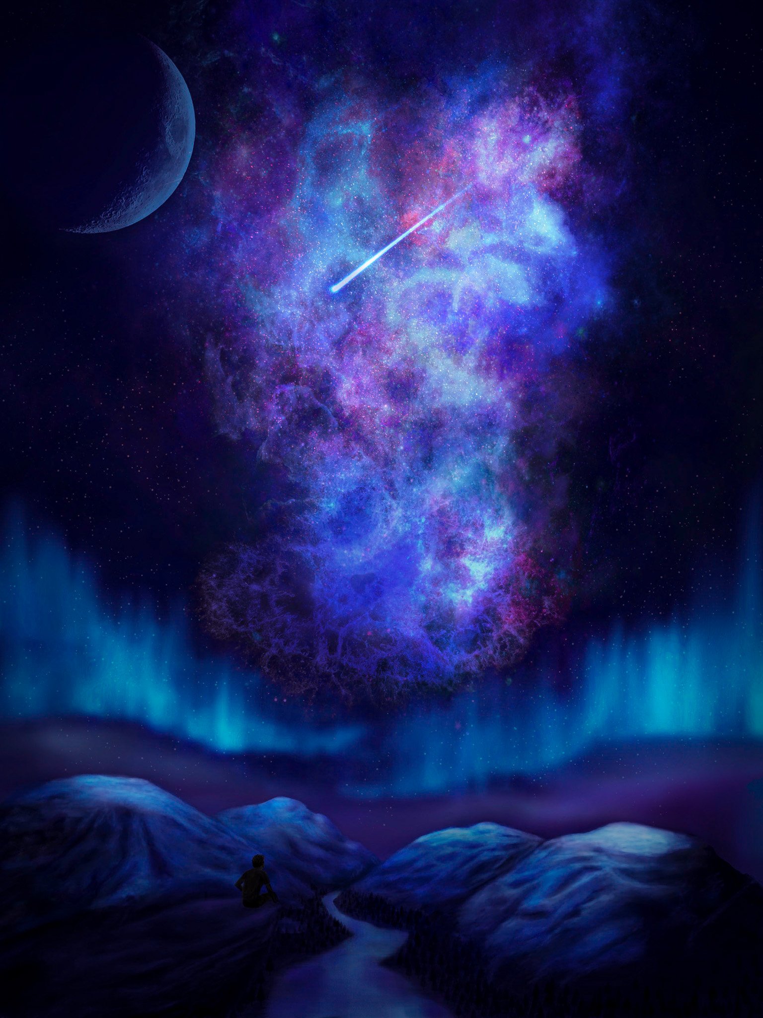 Intergalactic Voyage 14"x18" Signed Framed Fine Art Print