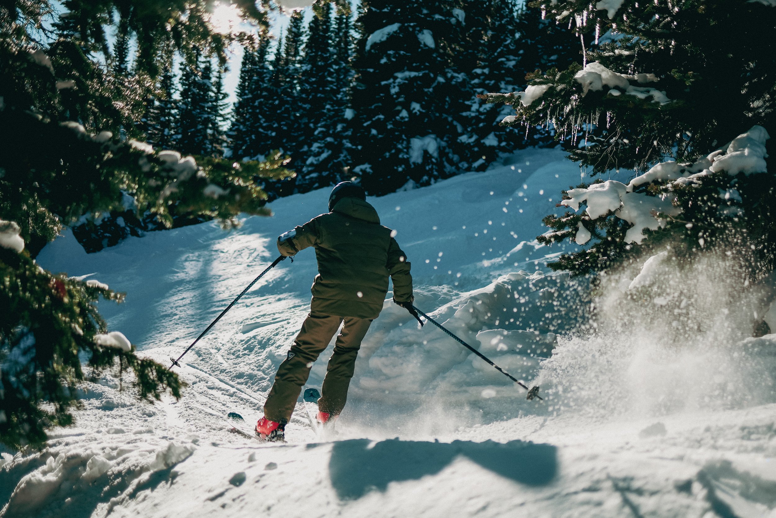 The end of day light illuminating the trees as the skier sprays up powder into the air