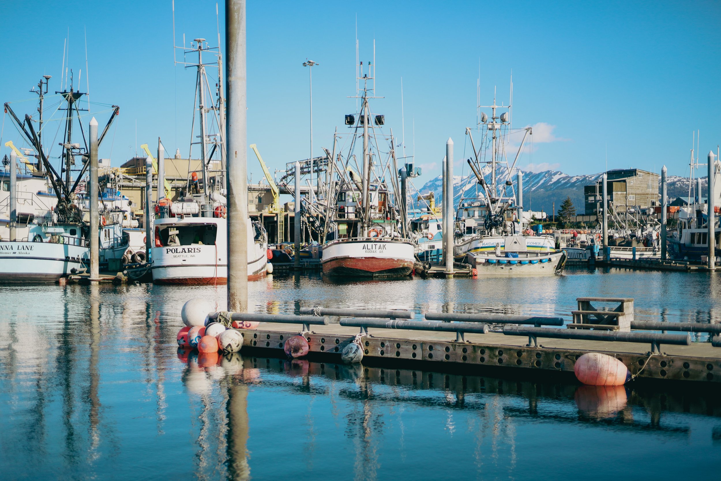 Boats sit idly in the peaceful morning water of Homer, AK