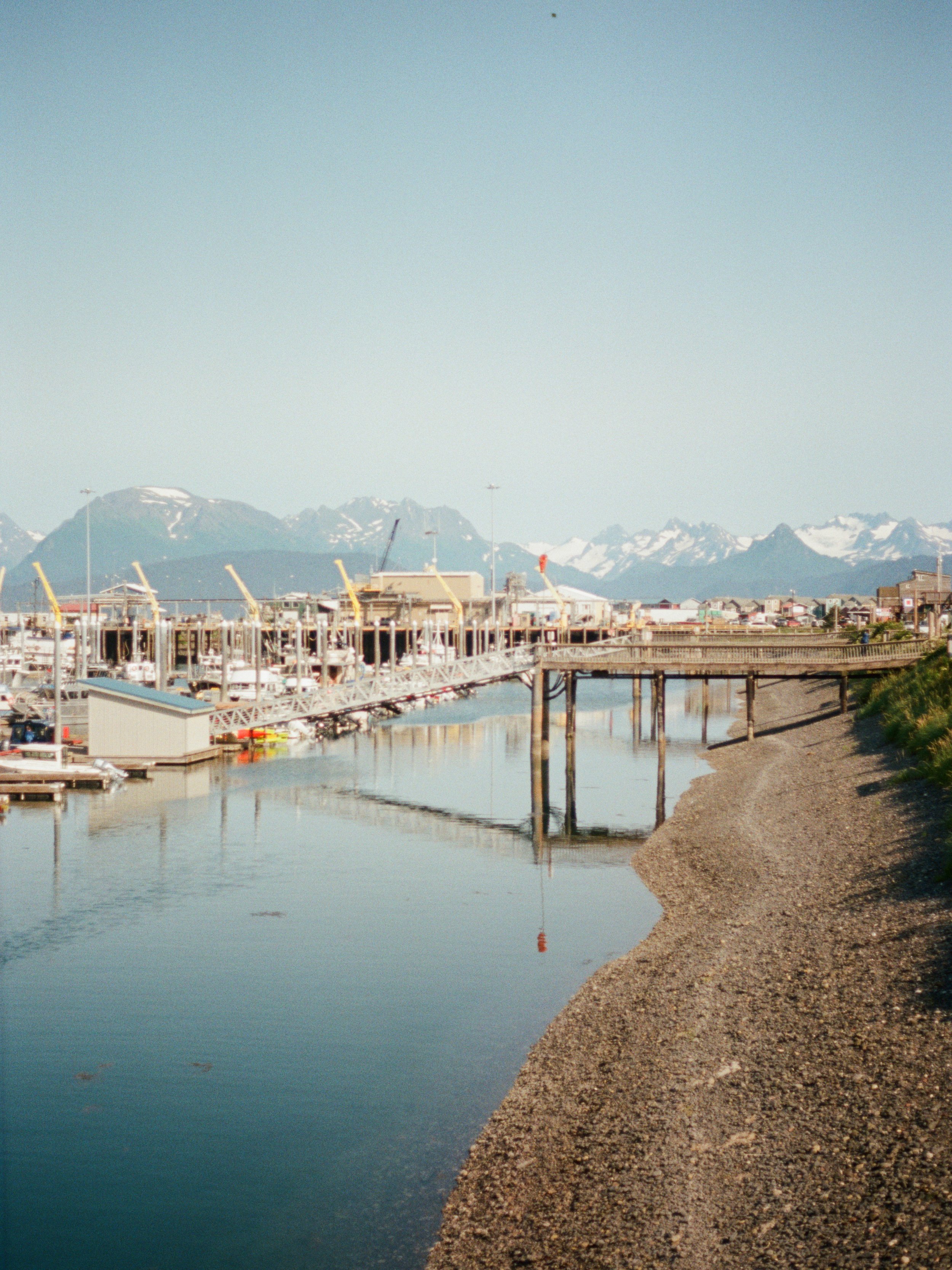 IMG_8667.jpeg
