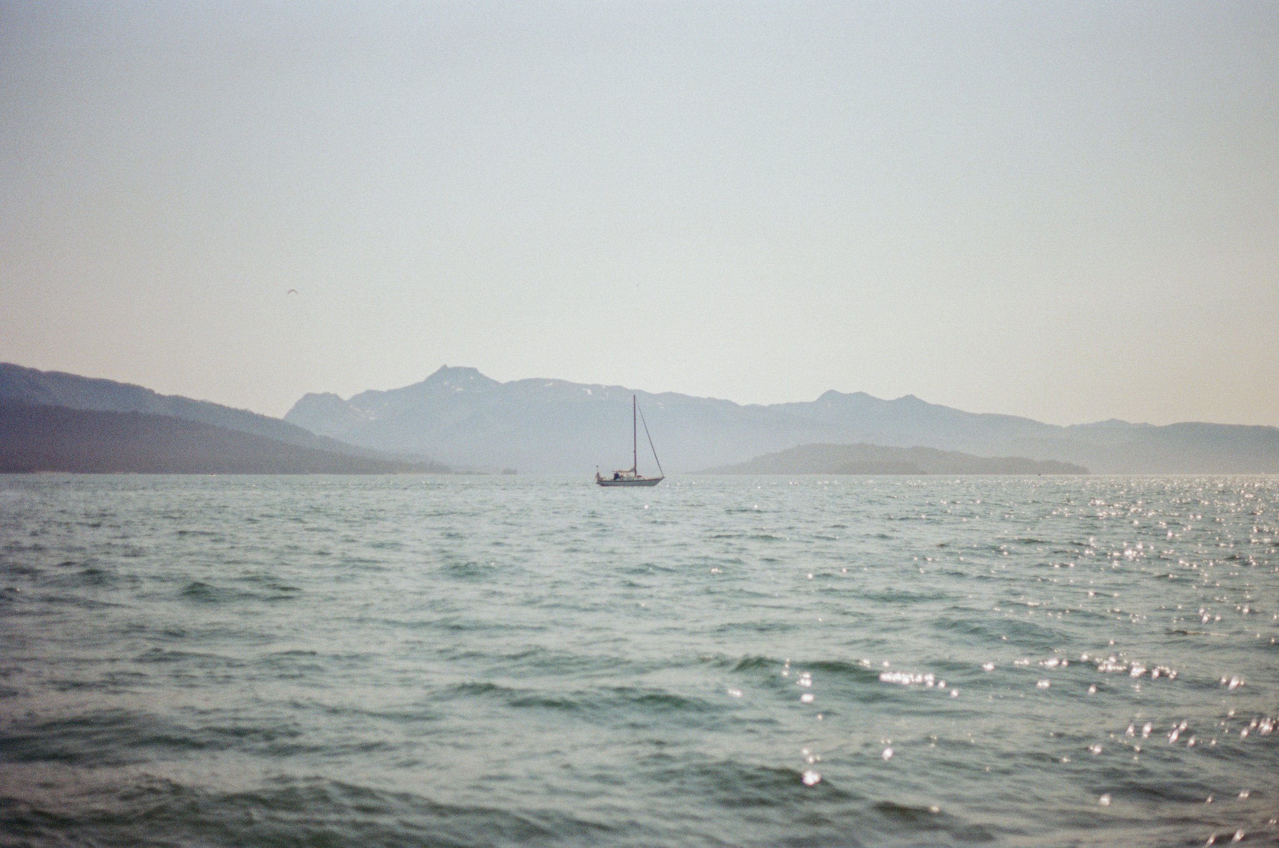 IMG_8651.jpeg