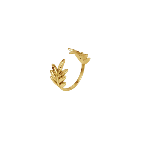 butterfly shop products (38).png