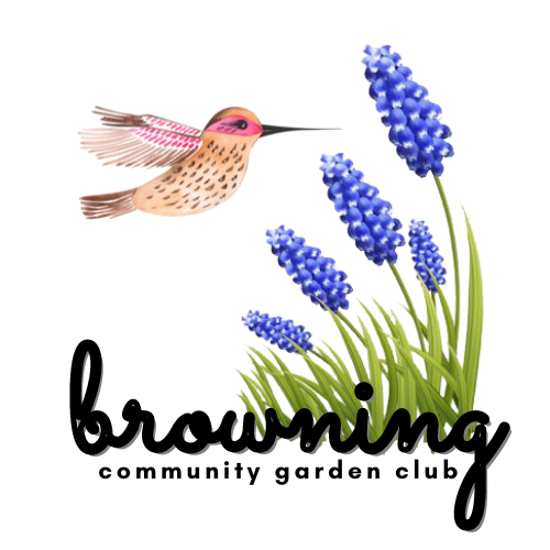 BCGC November Meeting