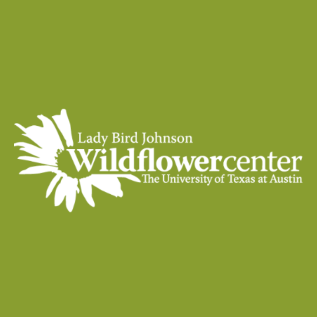 Fall Pilgrimage to Ladybird Johnson Wildflower Center