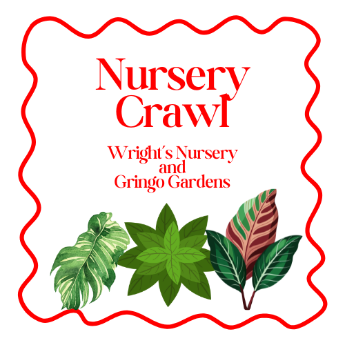 Nursery Crawl