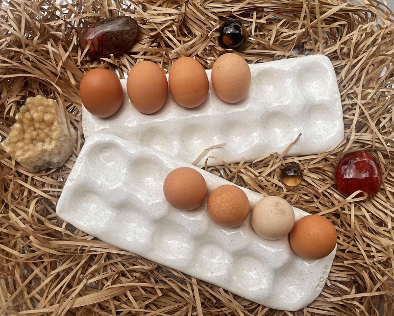 egg tray .png