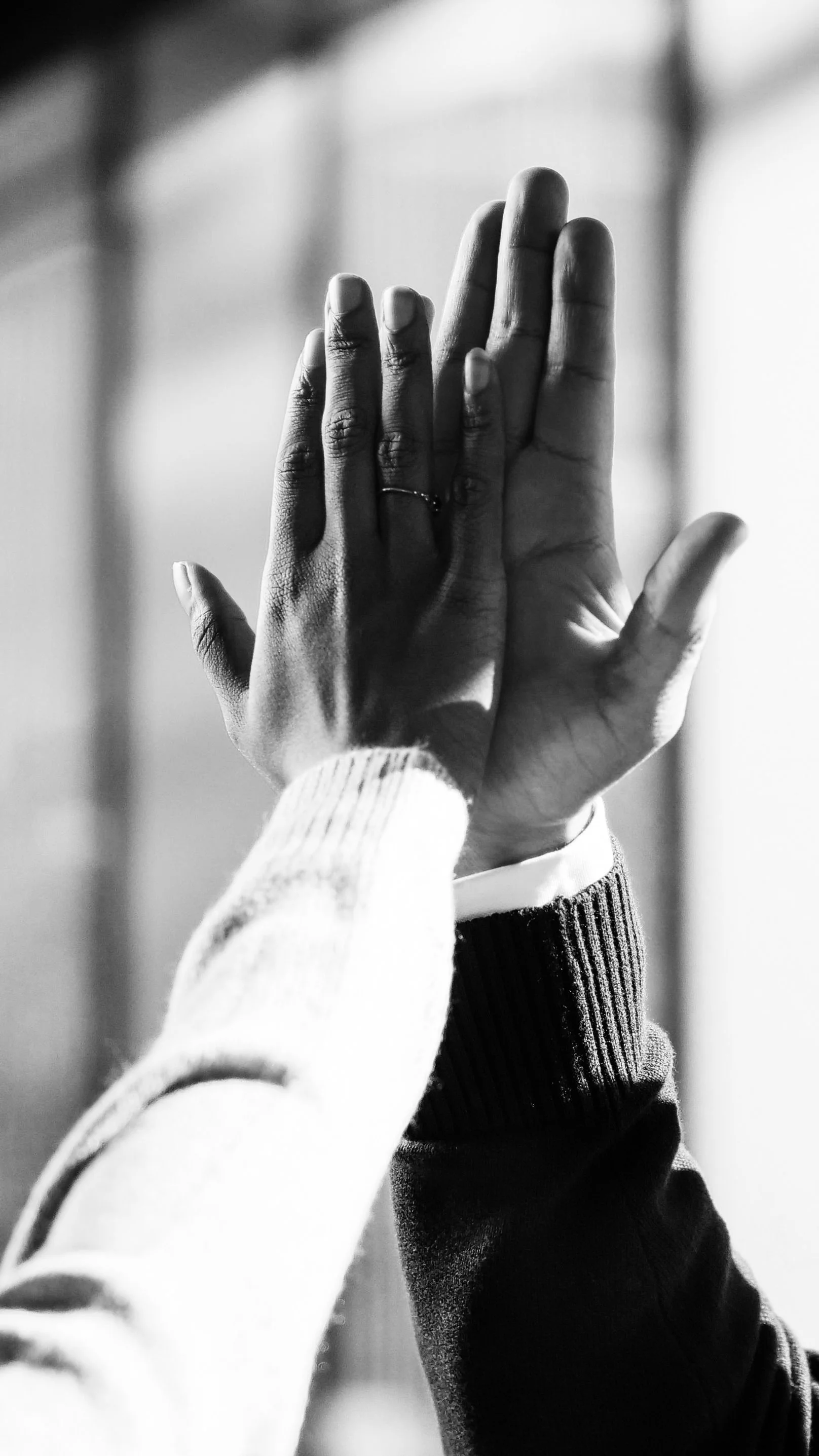 two black and white hands giving a high five