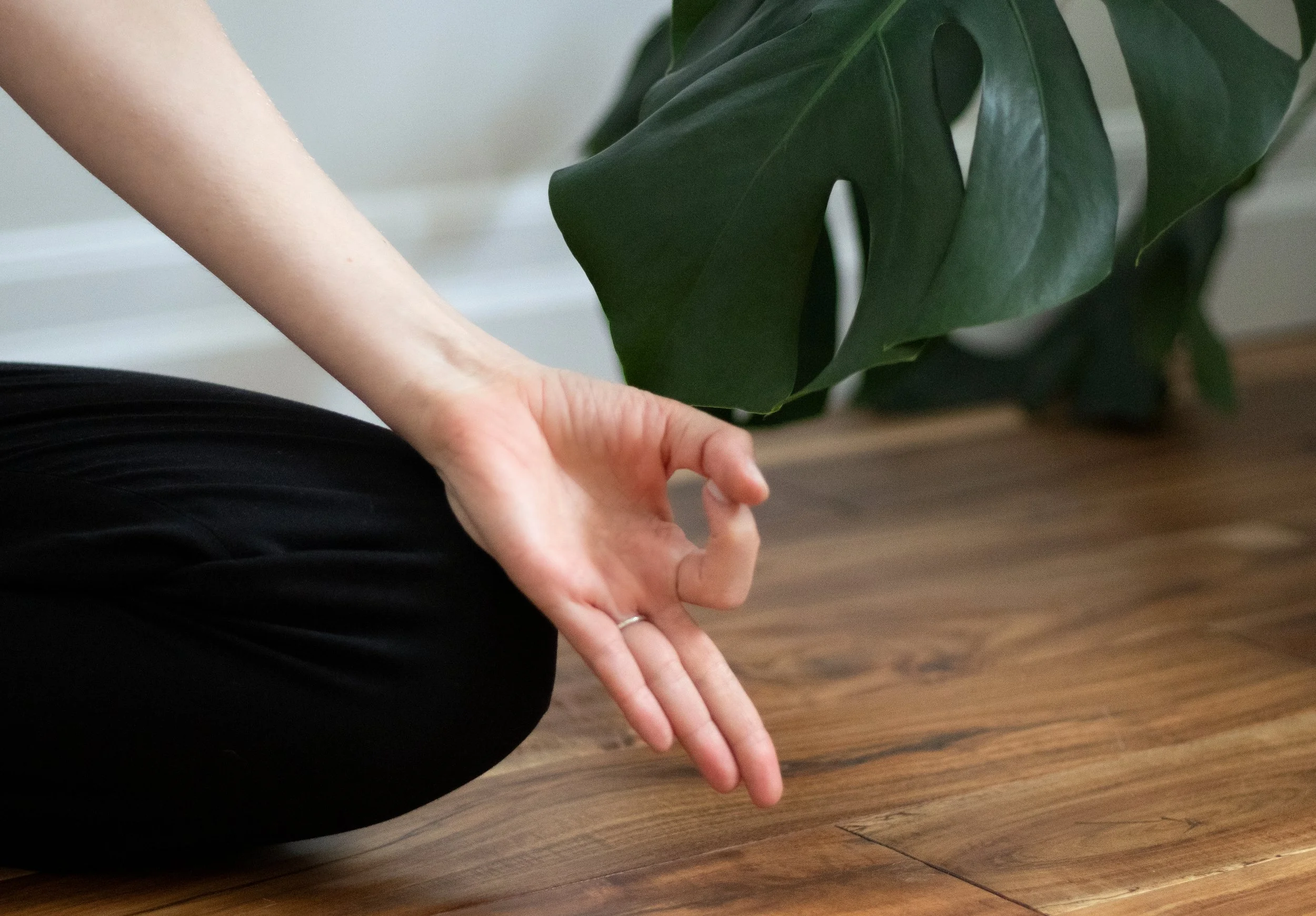 Person sitting cross-legged doing a meditation gesture with their hand, near a monstera plant on a wooden floor.