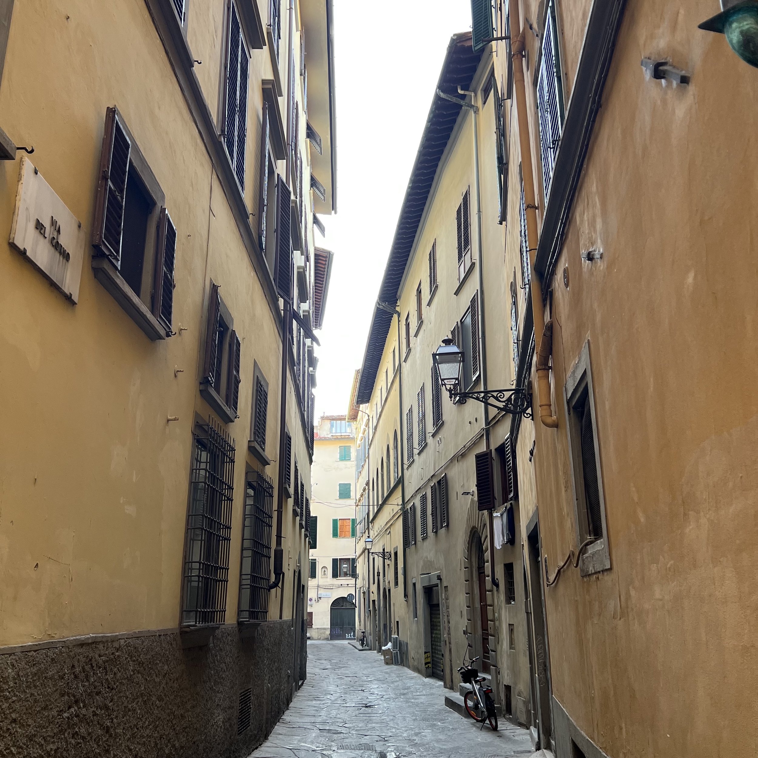 IMG_1711.jpeg