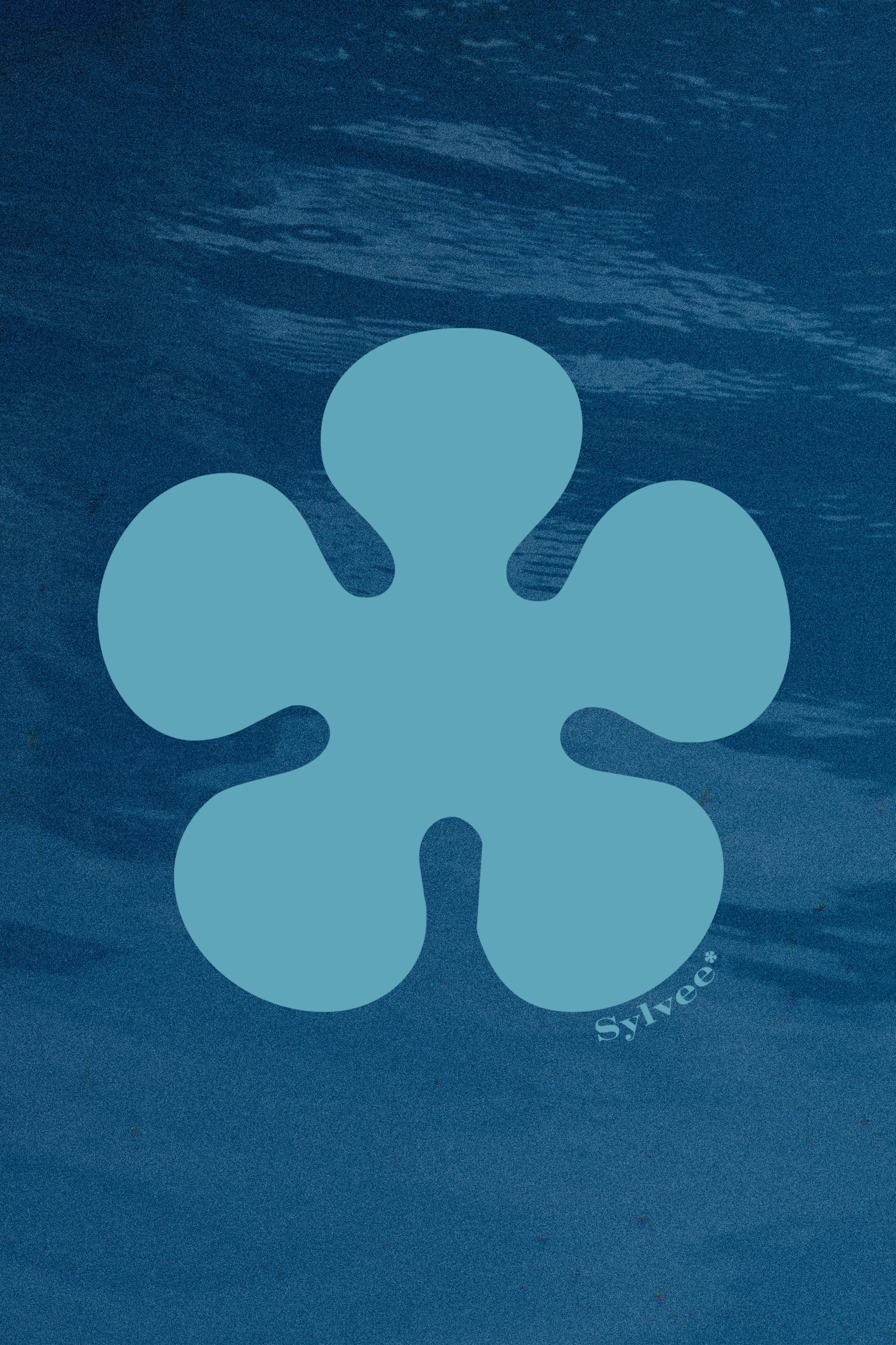 Sylvee_LogoTee_BackDetail_P.jpg