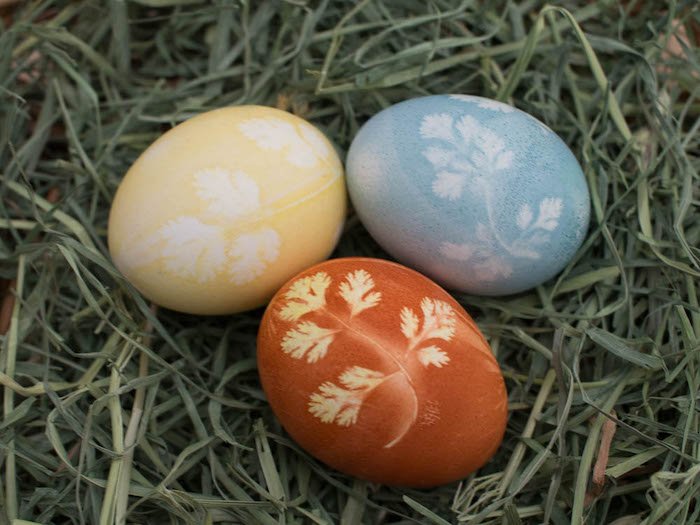 Natural Herb Stenciled Easter Eggs