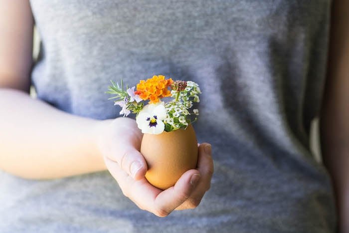 Egg Planters