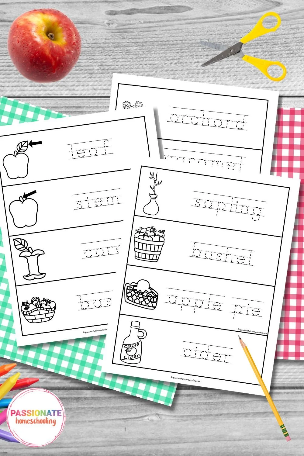 Free Printable Apple Word Wall Cards (Fun Vocabulary Practice