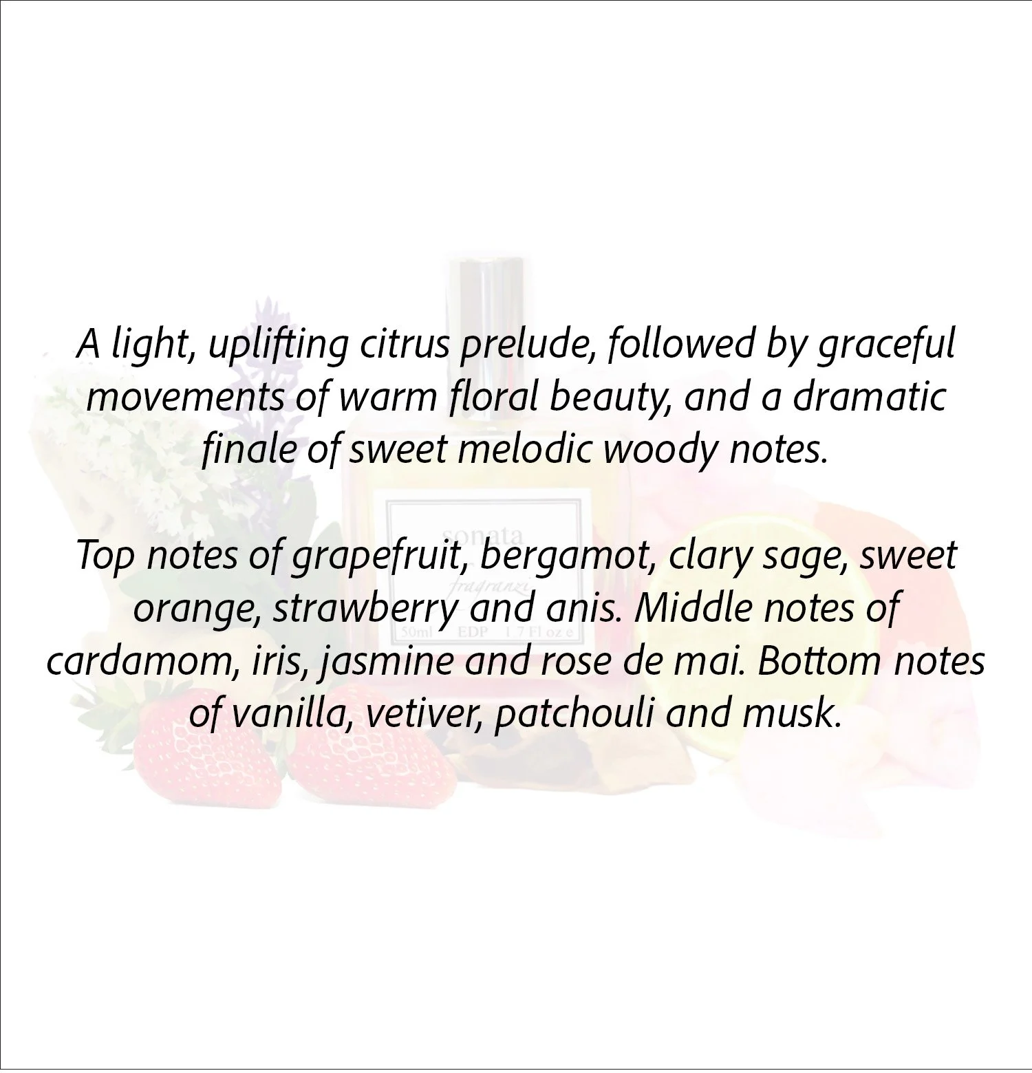 Sonata Notes resized Updated.jpg