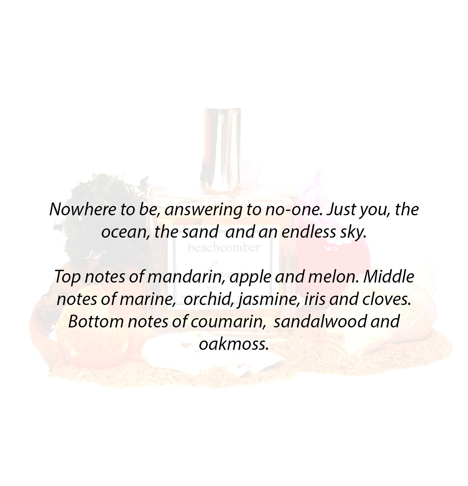 Beachcomber resized Notes.jpg
