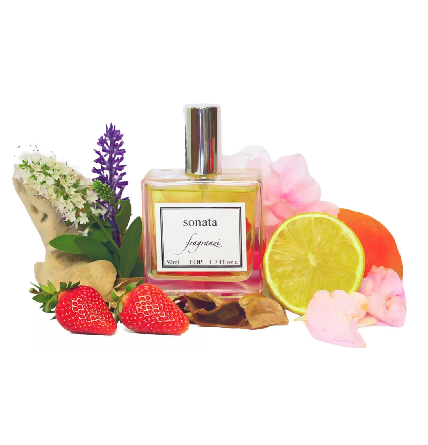 Sonata resized updated.jpg