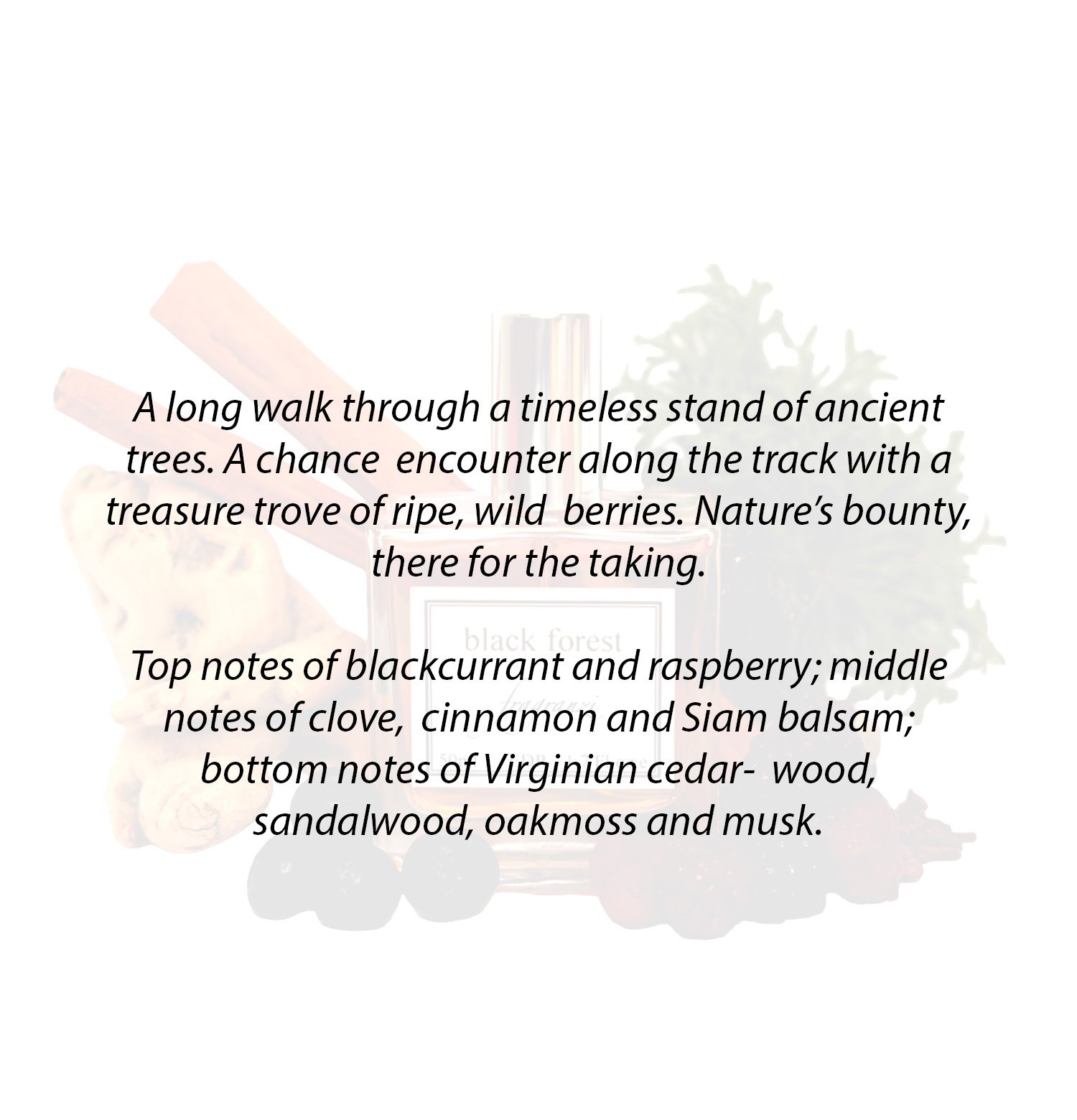 BlackForest resized Notes.jpg
