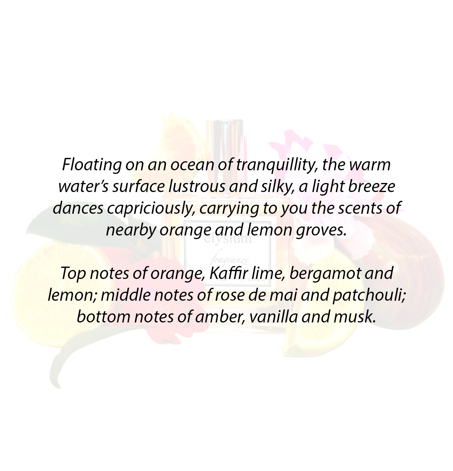 Elysium resized Notes.jpg