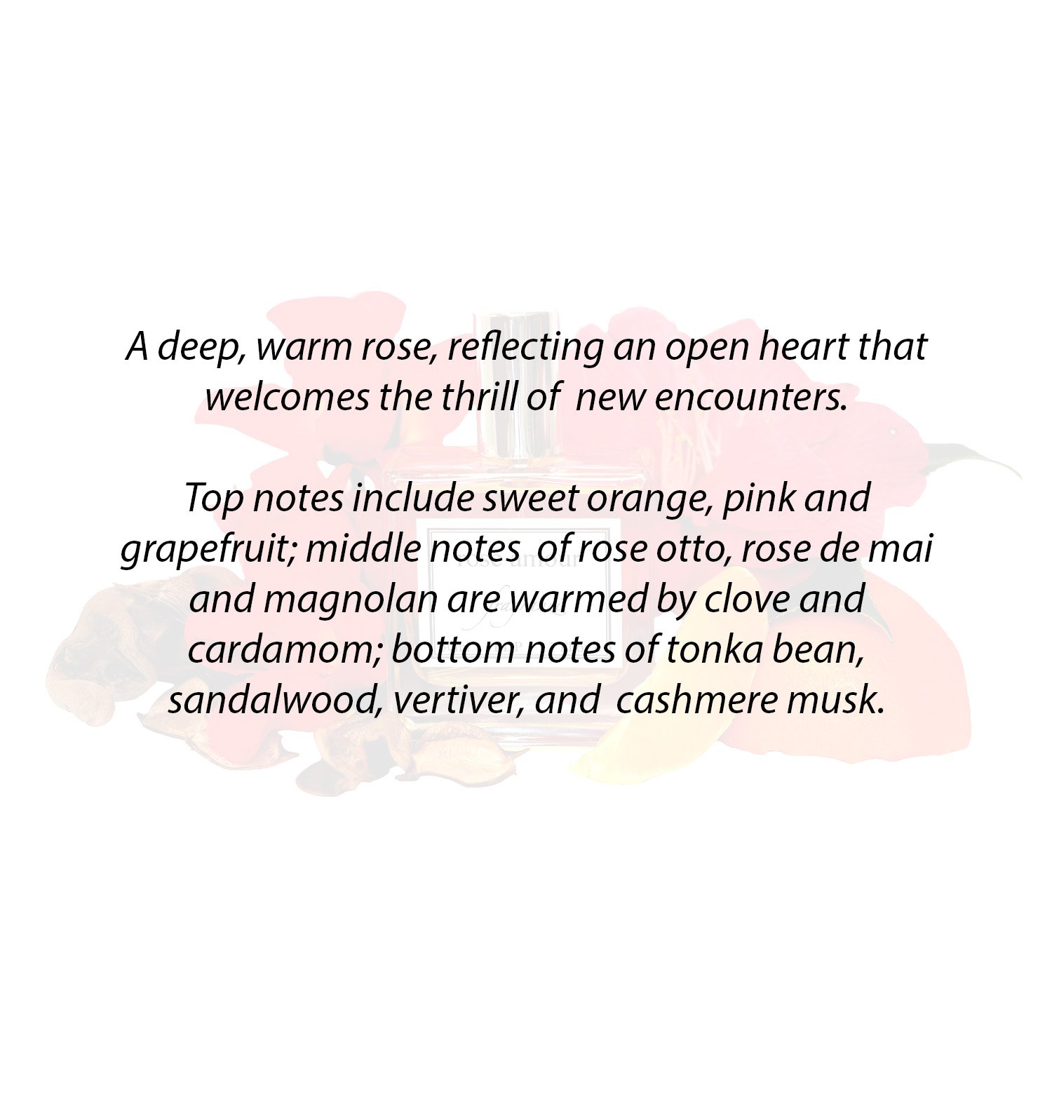 RoseAmore resized Notes.jpg