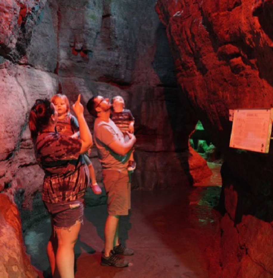 Olentangy_Caverns_Family_in_Ca_bl.png