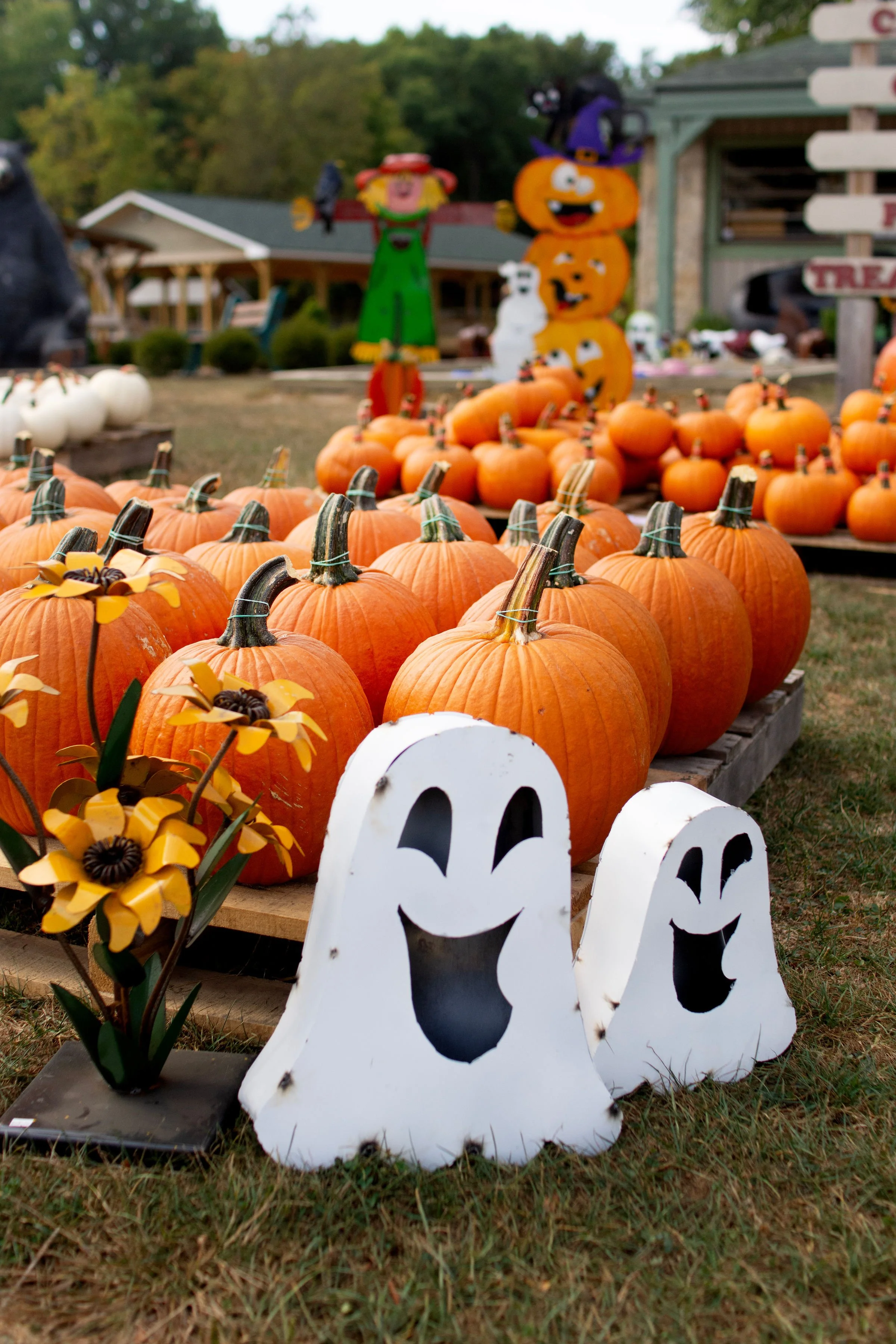 Pumpkins & Fall Activity Area