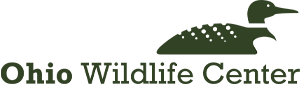 Ohio Wildlife Center - Educational Talk &amp; Animal Ambassadors
