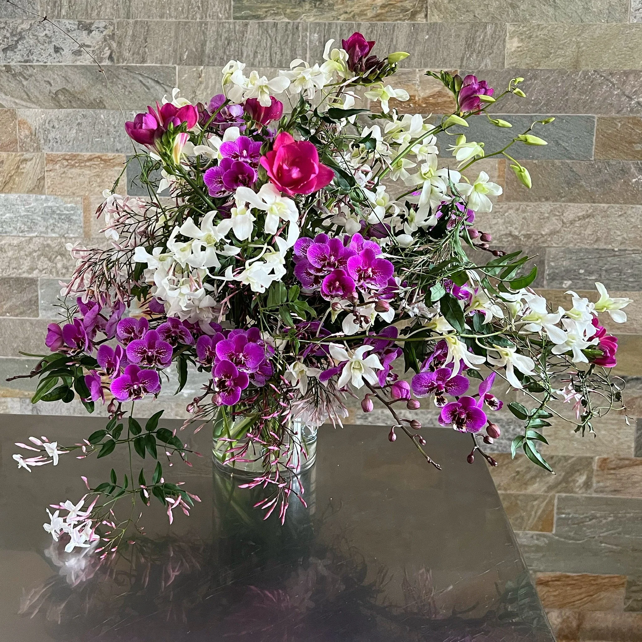 orchid jasmin fresia.jpg
