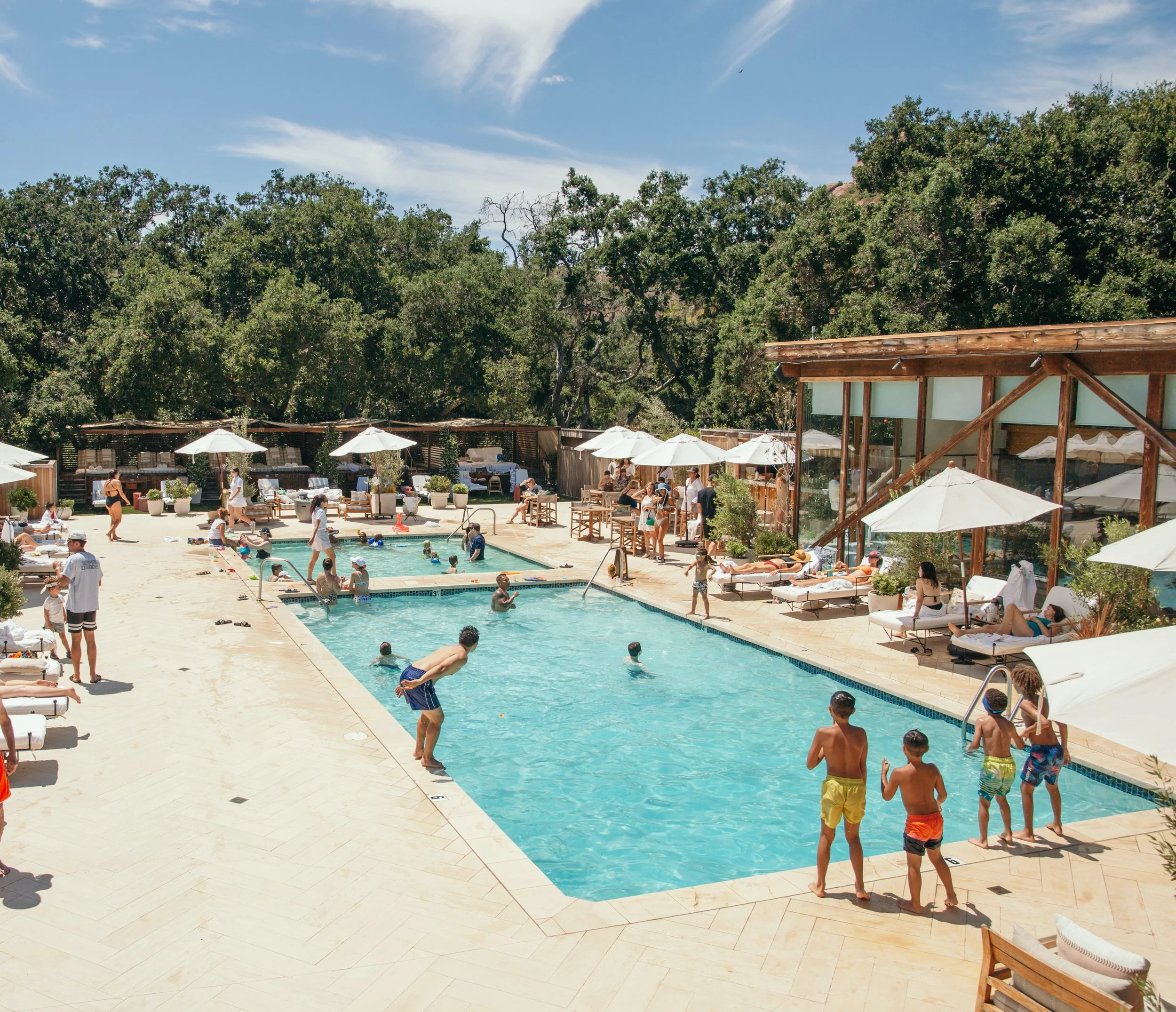 BBQ & Pool Party