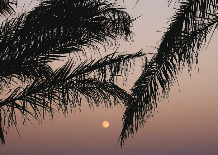 LADIES’ NIGHT Full Moon Party