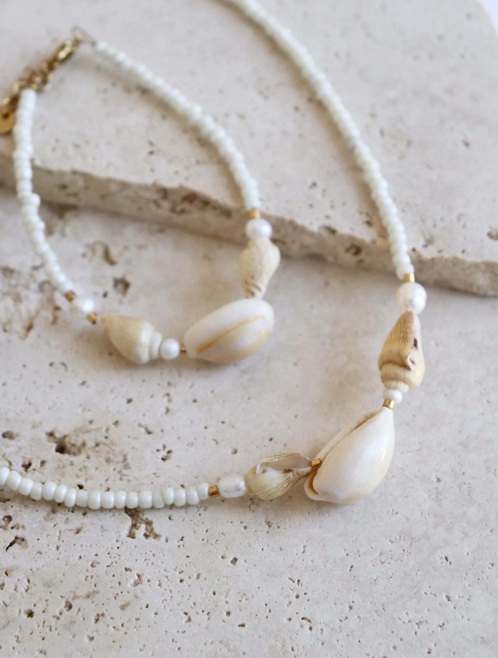 Bangalow Shell - Necklace - Anklet - Bracelet