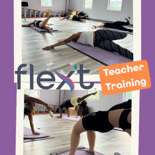Become A FLEX’T Instructor