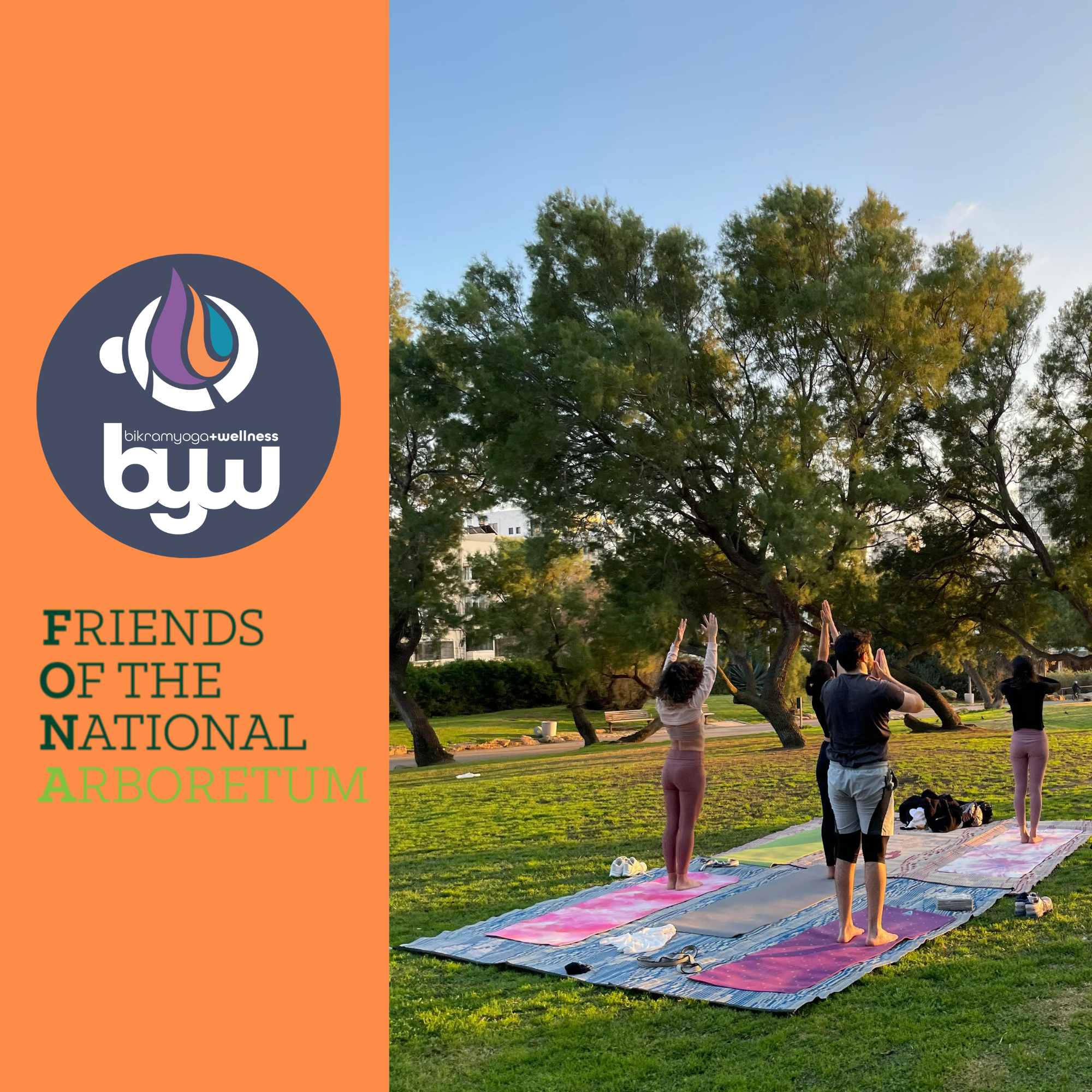 Wellness Wednesdays in the Park Are Back This Summer